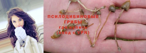 соль ск Володарск