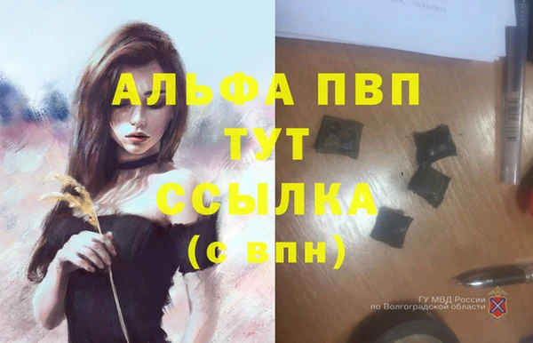 соль ск Володарск