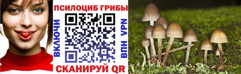 Псилоцибиновые грибы MAGIC MUSHROOMS  мега как войти  Суоярви  наркота 
